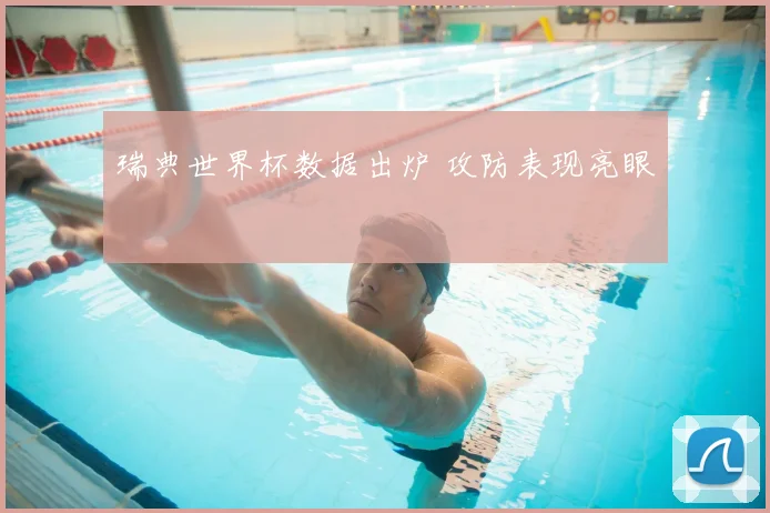 瑞典世界杯数据出炉 攻防表现亮眼