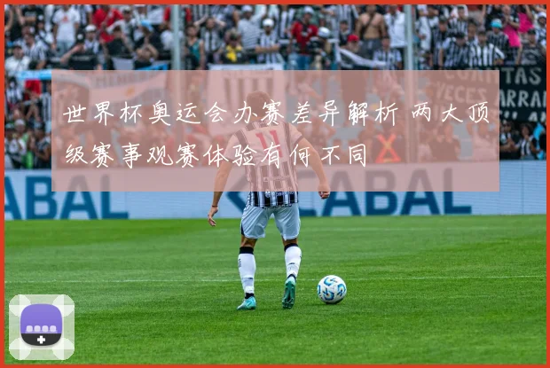 世界杯奥运会办赛差异解析 两大顶级赛事观赛体验有何不同