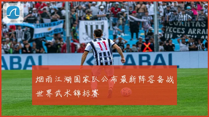 烟雨江湖国家队公布最新阵容备战世界武术锦标赛