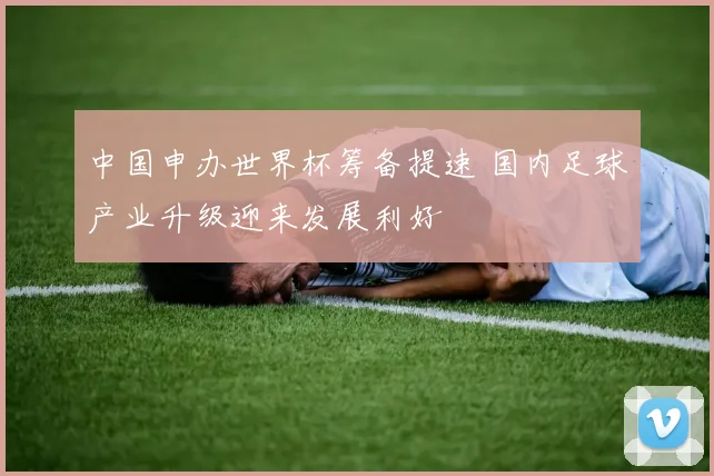 中国申办世界杯筹备提速 国内足球产业升级迎来发展利好