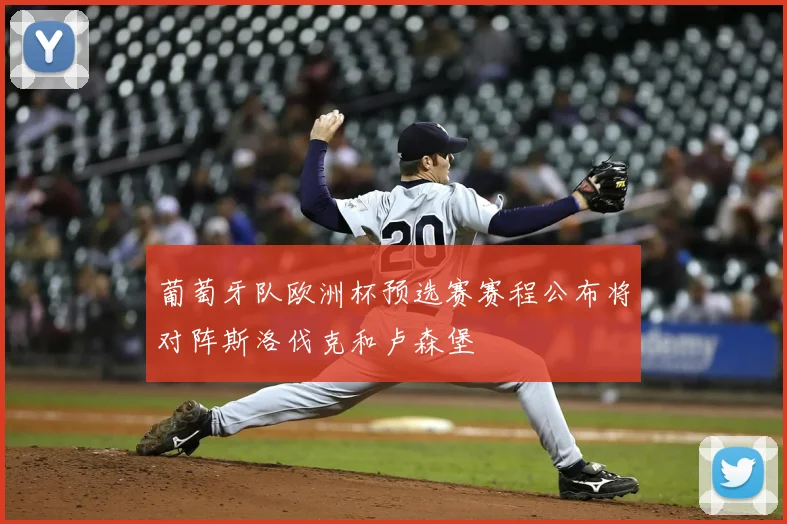 葡萄牙队欧洲杯预选赛赛程公布将对阵斯洛伐克和卢森堡