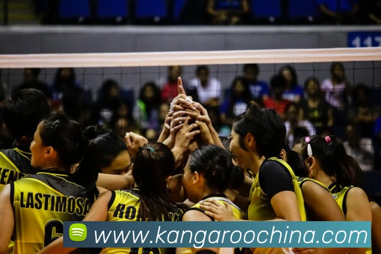 App Interface Preview