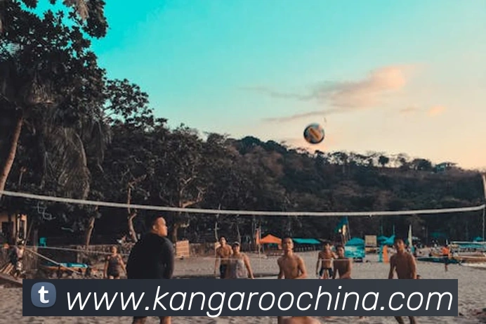 pg官网地址APP 封面图